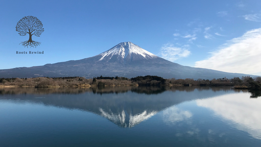 一般社団法人日本文化発信機構の監事にRoots Rewind代表の長澤亮が就任